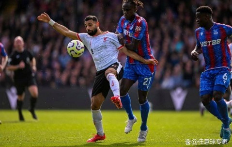 星空体育视频-水晶宫全队备战下一场比赛，冲击三分的简单介绍